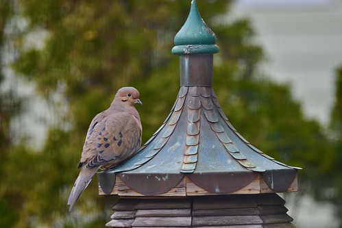 Sitting pretty!