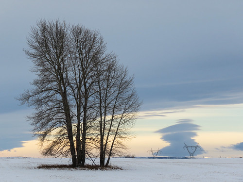 Lone tree and one of two Lenticular stacks