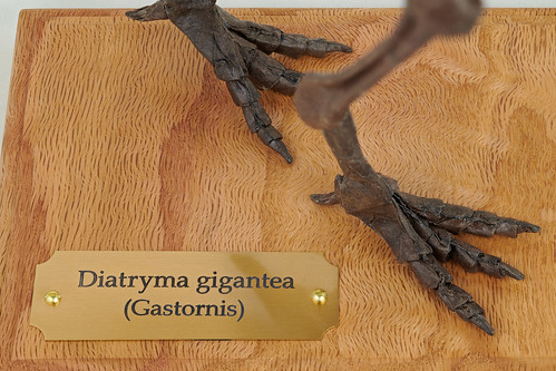 Diatryma gigantea (Gastornis) - Eiichiro Mase