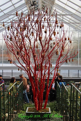 Christmas Special 2014 Conservatory Wooden Lathe Turned Nuts Xmas Ornaments (1 of 4) at Longwood Gardens of Kennett Square, PA