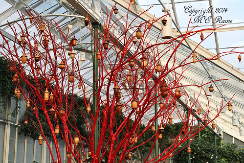 Christmas Special 2014 Conservatory Wooden Lathe Turned Nuts Xmas Ornaments (2 of 4) at Longwood Gardens of Kennett Square, PA