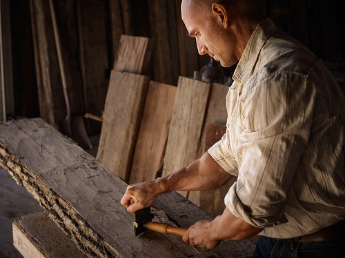 The woodworker