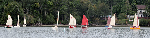 IMG_1222CEF1 - Nordland WA - Mystery Bay State Park - 2015 Red Lantern Rally - nine SCAMPs sailing in Mystery Bay