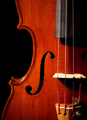 Violin Close-Up