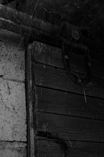 Barn Door (Antiqued)