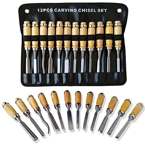 AONAN Wood Carving Chisel Set - Deluxe 12 Piece Sharp Woodworking Tools Carrying Case - Great for Beginners DIY Art Craft best wood carving tools - DiZiWoods Store