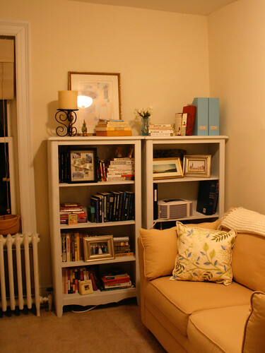 The bookcase wall, before