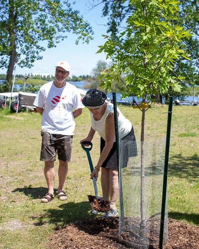 Paula Fletcher tree planting ceremony with Norm Lamb