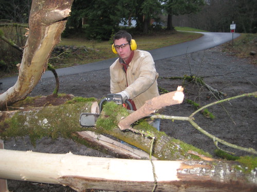 chainsawing on site for curtis project