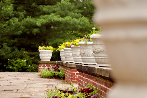 Stan Hywet Hall - In a Row