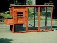 Chicken Coop Plans