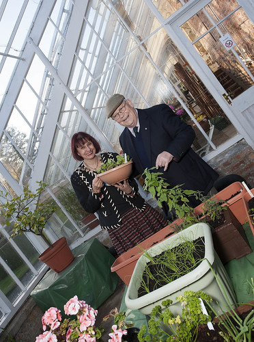 TV gardener Jim McColl launches renovation project at Ayr horticultural therapy garden for armed forces veterans