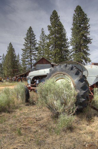 Ford 8N or 9N tractor resting in the sagebrush HDR