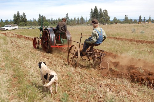 Willie and son and dog, running an antique plow behind an antique Case tractor HDR