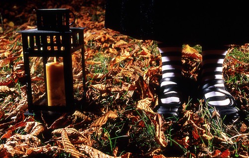 Day 275/365 - Witch in the Leaves