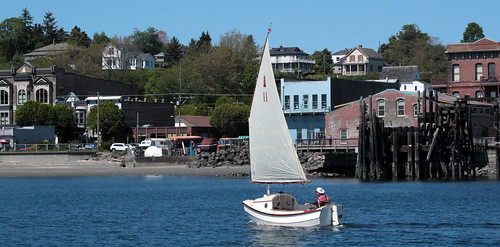 IMG_7561CE - Port Townsend Bay - PTYC Opening Day - aboard BLUE STAR - Port Townsend Pocket Yachter (PTPY)  member Simeon Baldwin with his SCAMP number 11 NODDY sails the waterfront