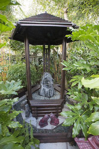 Wood and stone water feature in our garden jungle.