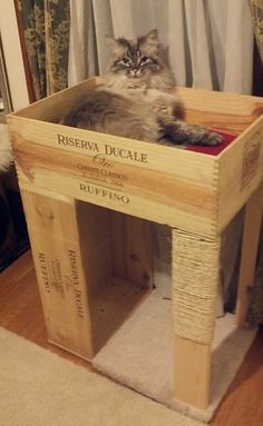 DIY Cat house