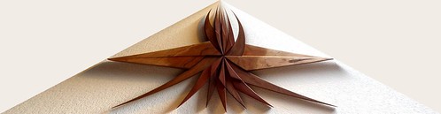 Distorted Cherry Wood Star