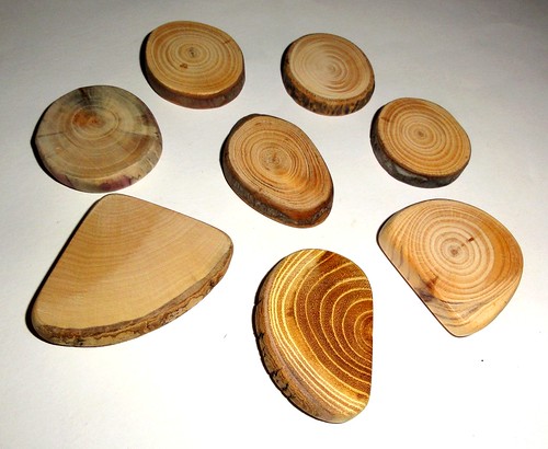 Natural line of essential jewelry findings. Various wood mix slices, jewelry making supplies. Jewelry supply for brooches, pendants, rings..