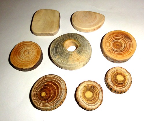 Jewelry making supplies findings. Natural wood for pendants, earrings, necklaces, rings, bracelets, brooches, charms, keychains, magnets ...