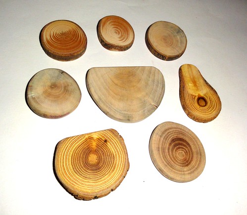 Jewelry findings. Wood slices 8 qty. Wooden discs jewelry supplies. Wood slabs slices. Woodcraft, DIY ornaments, rustic weddings, magnets