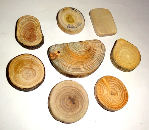 Wood jewelry findings components. Jewelry supply, jewelry craft for rings, earrings, pendants, necklaces, brooches, key chains, magnets ...