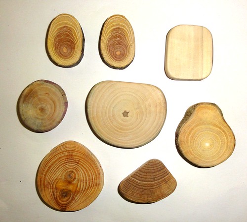 Jewelry making supplies findings. Natural wood for pendants, earrings, necklaces, rings, bracelets, brooches, charms, keychains, magnets ...