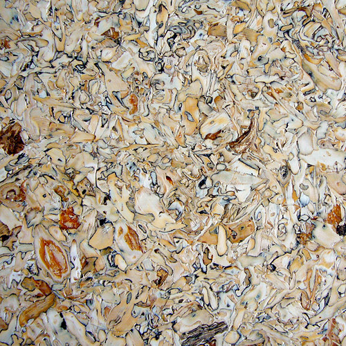 Sunflower seed board