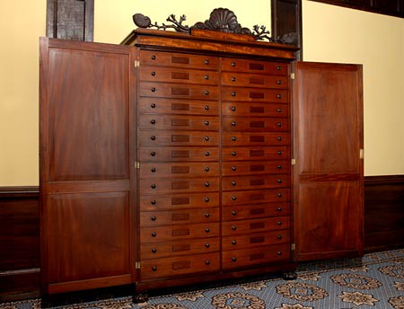 Jeffreys Shell Cabinet