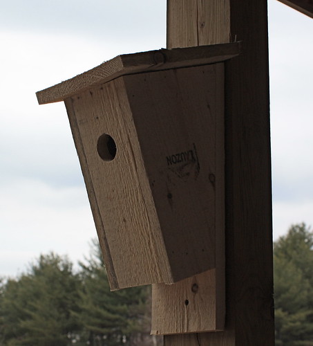 Building Bluebird Houses - 57