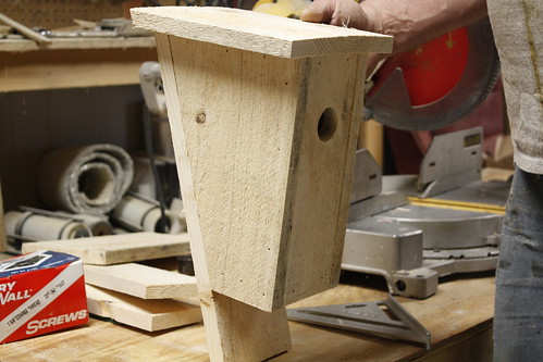 Building Bluebird Houses - 54