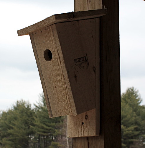 Building Bluebird Houses - 55