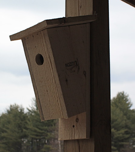 Building Bluebird Houses - 56