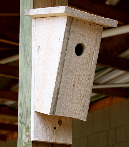 Building Bluebird Houses – 59