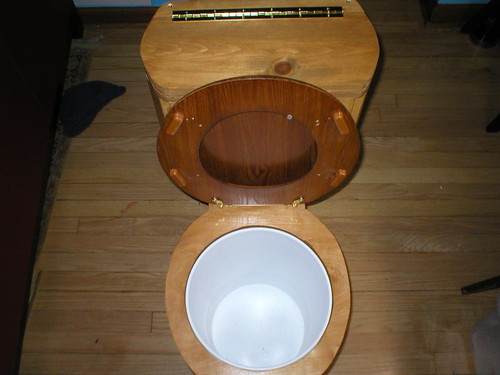 Sawdust Toilet - Seat Up