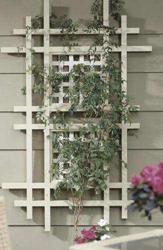 Wood Trellis