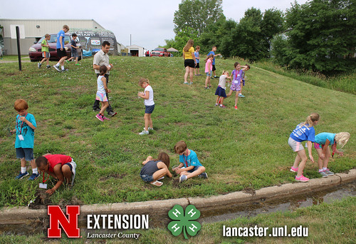 4-H Clover College 2018 - Clover Kids Day 1 Session 2 - 20