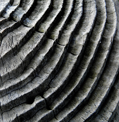 Fence Post #2 Revisited Close Up