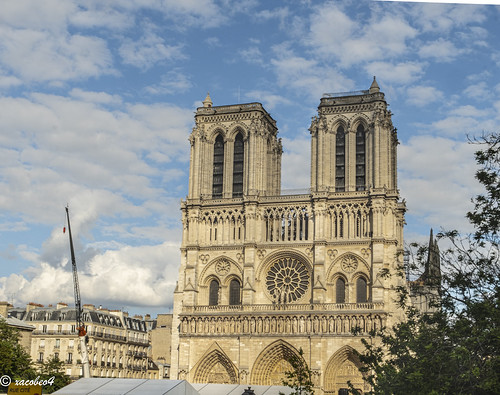 Notre Dame- Poetry in Stone