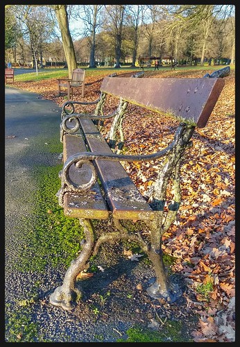 Park Bench