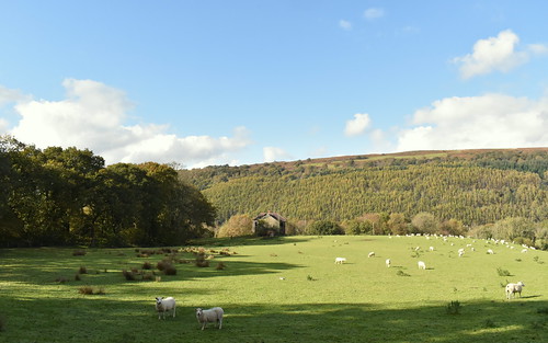 Pen y Bank, Clyne