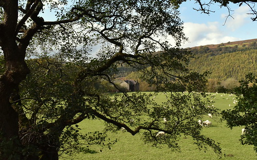 Pen y Bank, Clyne