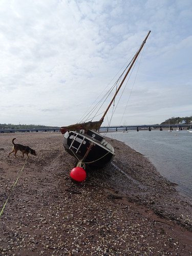 Cornish Shrimper 19 on the Salty