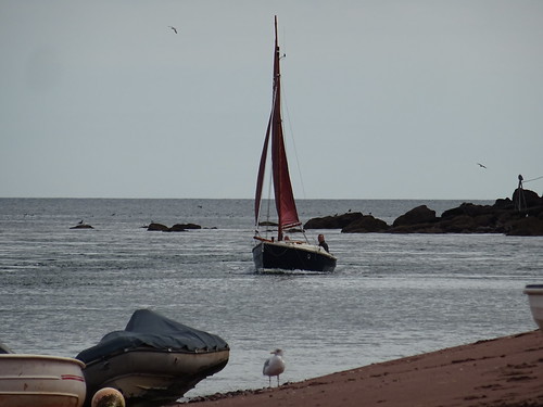 “Arwin” Cornish Shrimper 19