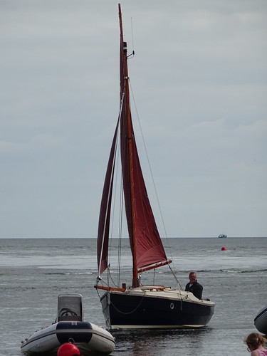 “Arwin” Cornish Shrimper 19