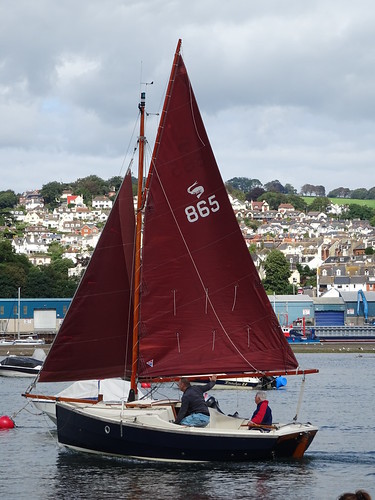 “Arwin” Cornish Shrimper 19