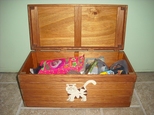 Cat Toy Box 02