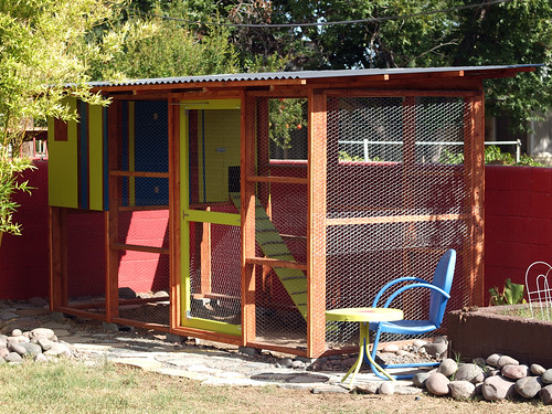 Chicken Coop-Day 229