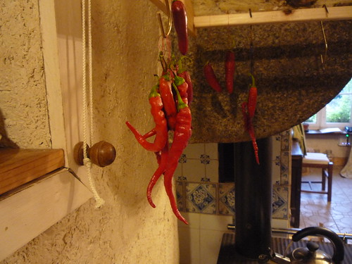 Chillies (Long Slim Cayenne) drying on our home-made pulley airer